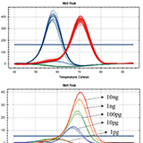 PCR 최적화 및 유효성 검증